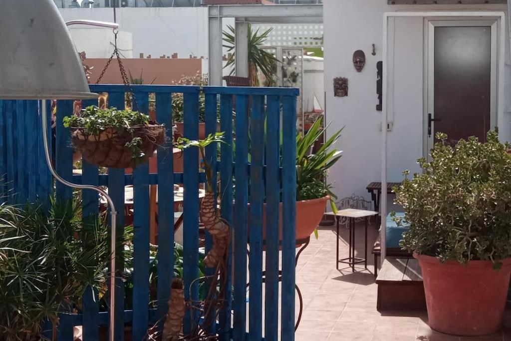 La Azotea Habitación en casa particular *