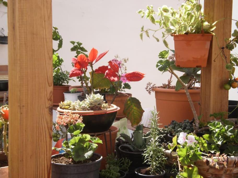 Habitación en casa particular La Azotea Las Palmas de Gran Canaria